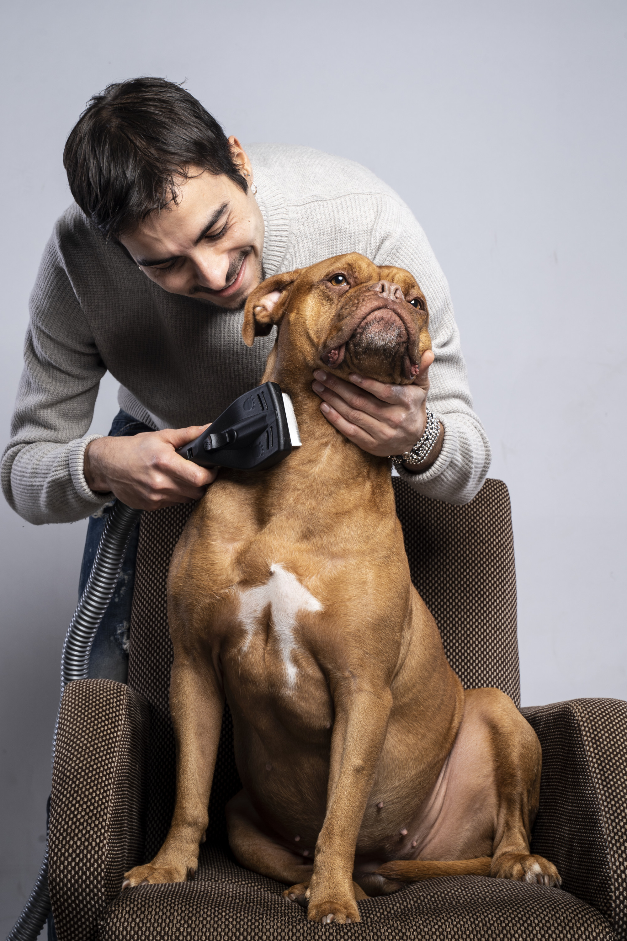 Kit accessori per animali domestici